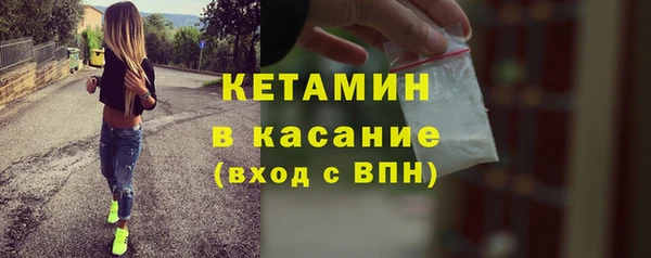 шишки Горно-Алтайск