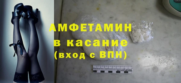 шишки Горно-Алтайск