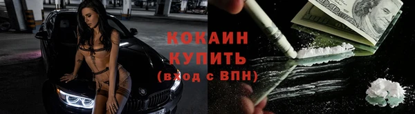 шишки Горно-Алтайск