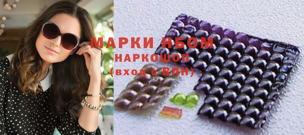 шишки Горно-Алтайск