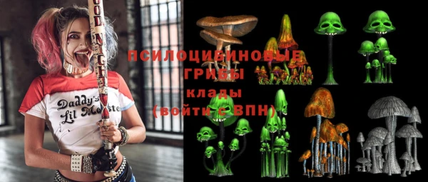 шишки Горно-Алтайск