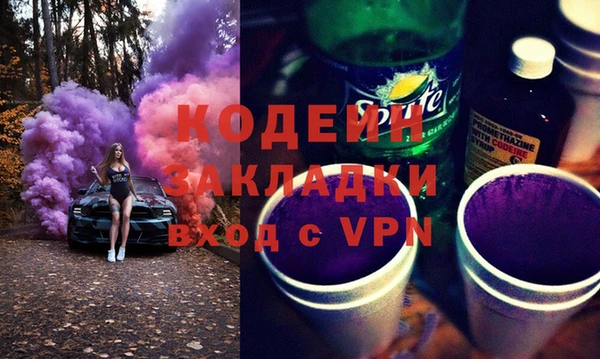 шишки Горно-Алтайск