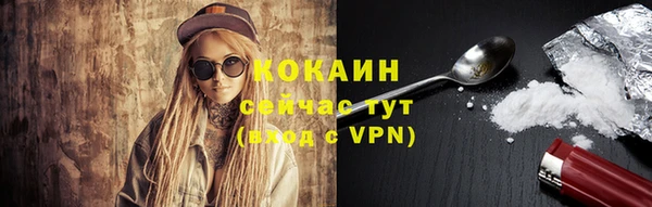 шишки Горно-Алтайск