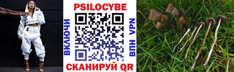 Псилоцибиновые грибы MAGIC MUSHROOMS  Купить  Звенигово 